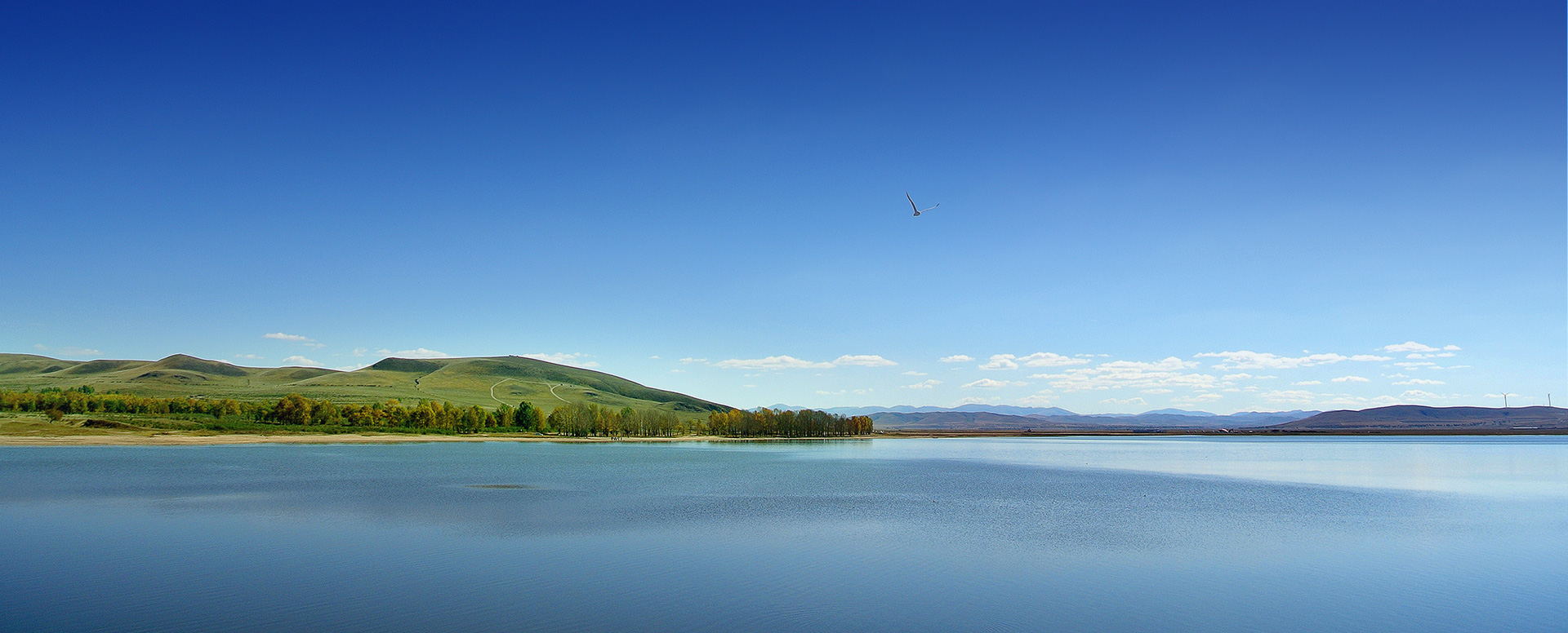 1624325823685741.jpg 1618019752811579.jpg